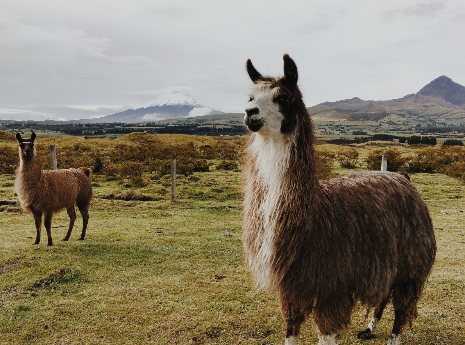 Llama 3 Strategy: Smaller Models Outperform GPT-4 on Tasks - clearainews