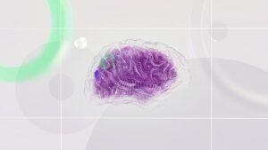 Microsoft Copilot: AI in 365, Hype vs. Reality - clearainews